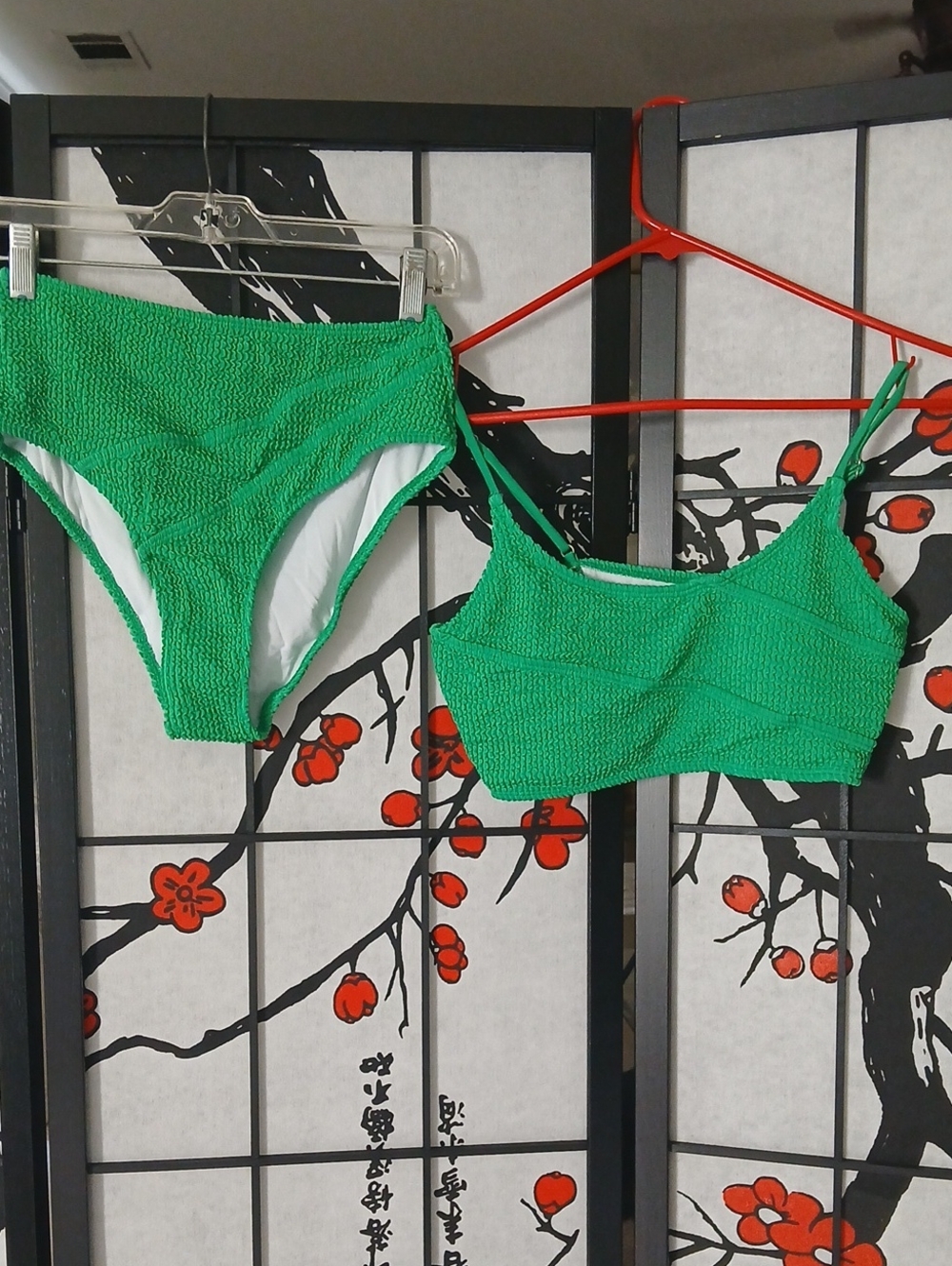 NWOT Green Smocked Two-Piece Swim Set
